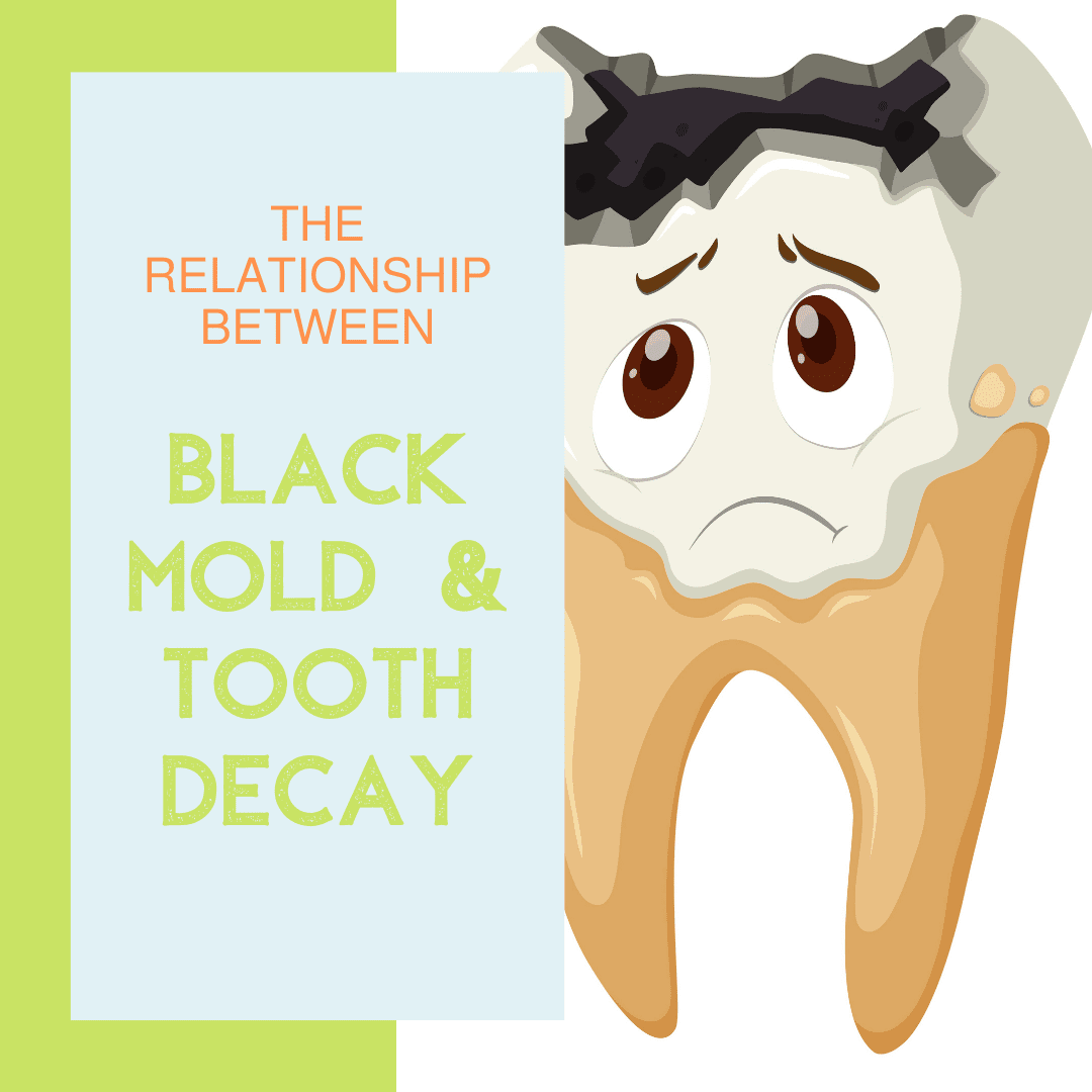 The Relationship Between Black Mold and Tooth Decay Kids World